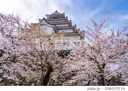 福島県会津若松市　桜咲く春の会津若松城の天守閣と石垣 106035514