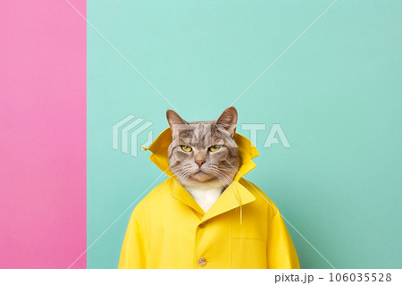 Heavy Cat Anthropomorphic Bright Colors Trendy Coo, Generative AI 106035528