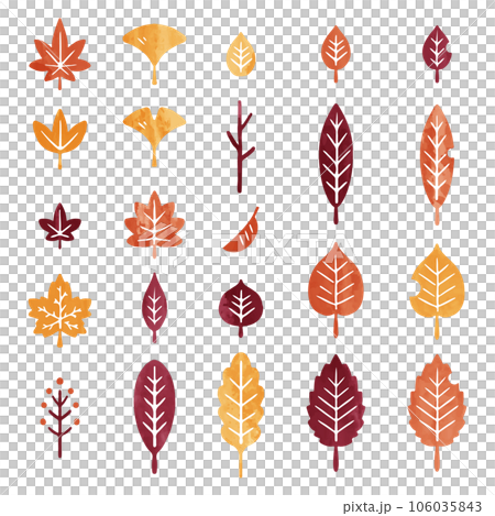 秋天的樹葉插圖設置秋天的顏色 106035843