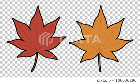 Autumn leaves maple illustration 106036196