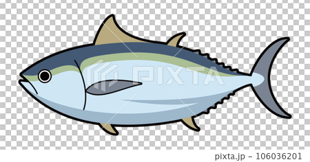 マグロ　イラスト 106036201