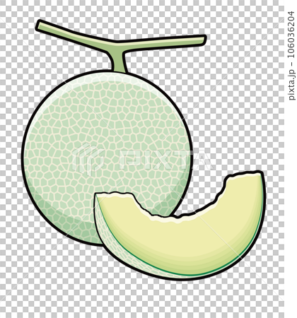Melon illustration Melon illustration 106036204