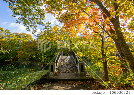 秋口の大沼公園の散策風景 秋口の大沼公園の散策風景 106036325