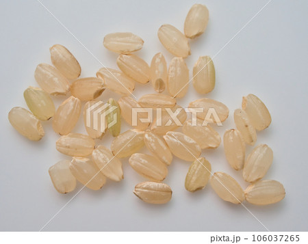 玄米 玄米 106037265