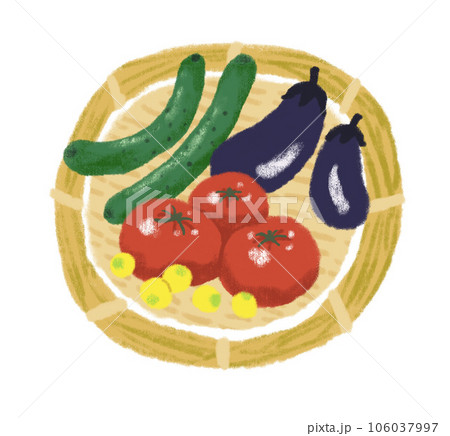 カゴにのった夏野菜 カゴにのった夏野菜 106037997