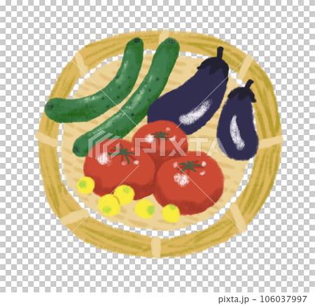 カゴにのった夏野菜 カゴにのった夏野菜 106037997