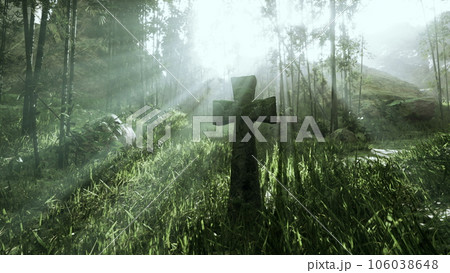 weather-beaten grave marker in the tropical forest weather-beaten grave marker in the tropical forest 106038648