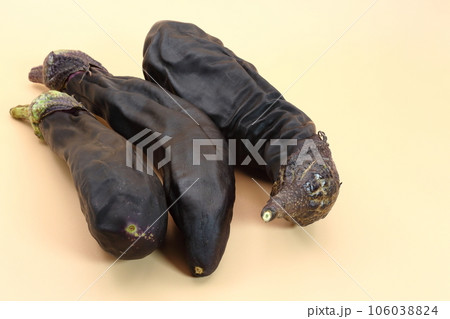 しなびたナス 106038824