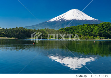《山梨県》初夏の富士山・新緑の河口湖湖畔 106038849