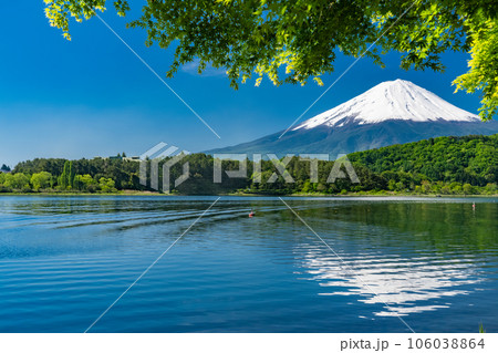 《山梨県》初夏の富士山・新緑の河口湖湖畔 106038864