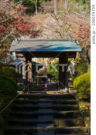 晩秋の古都鎌倉 紅葉の浄智寺 晩秋の古都鎌倉 紅葉の浄智寺 106039709