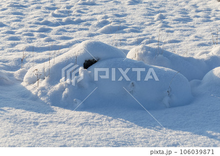 Stones on snow meadow Stones on snow meadow 106039871