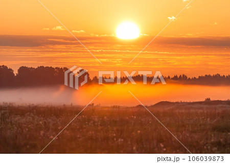 Foggy meadow at sunset Foggy meadow at sunset 106039873