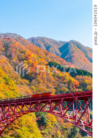 秋の黒部峡谷:新山彦橋を走るトロッコ電車 秋の黒部峡谷:新山彦橋を走るトロッコ電車 106041019