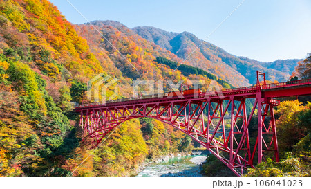 秋の黒部峡谷：新山彦橋を走るトロッコ電車 106041023