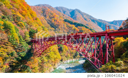 秋の黒部峡谷：新山彦橋を走るトロッコ電車 106041024