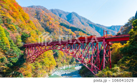 秋の黒部峡谷:新山彦橋を走るトロッコ電車 秋の黒部峡谷:新山彦橋を走るトロッコ電車 106041029