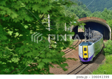 楓信号場を通過するキハ261系特急『おおぞら』 楓信号場を通過するキハ261系特急『おおぞら』 106041399