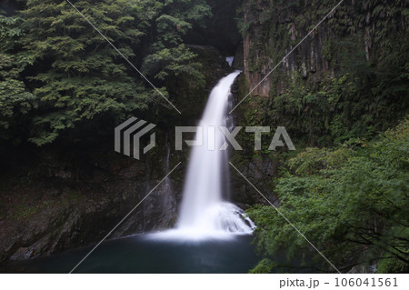 大滝　静岡県賀茂郡河津町 106041561