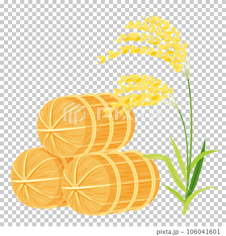 大米和穗飯 大米和穗飯 106041601