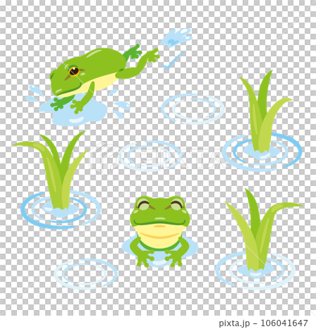 稻苗和青蛙 稻苗和青蛙 106041647