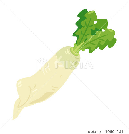 規格外で訳ありの大根 106041814