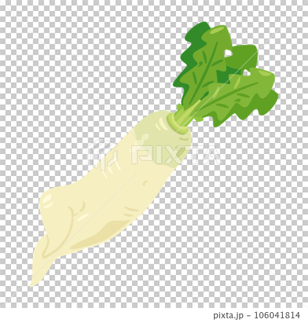 規格外で訳ありの大根 106041814
