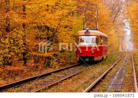 autumn forest among which goes a strange tram autumn forest among which goes a strange tram 106041871