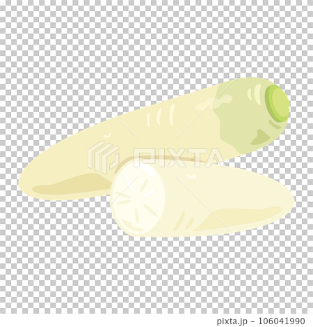 Radish cross section set Radish cross section set 106041990