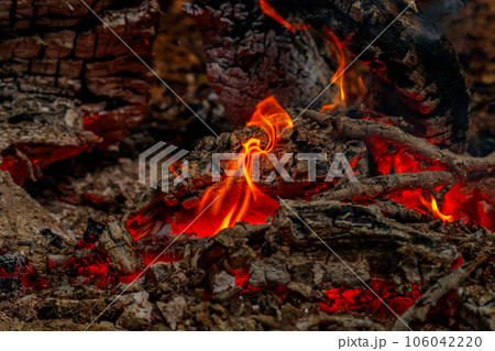 texture flame from burning logs at night 106042220