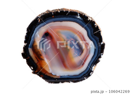 Macro mineral stone Yellow, brown Agate breed a white background Macro mineral stone Yellow, brown Agate breed a white background 106042269
