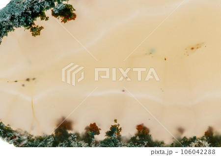 Macro mineral stone Yellow Agate breed a white background Macro mineral stone Yellow Agate breed a white background 106042288