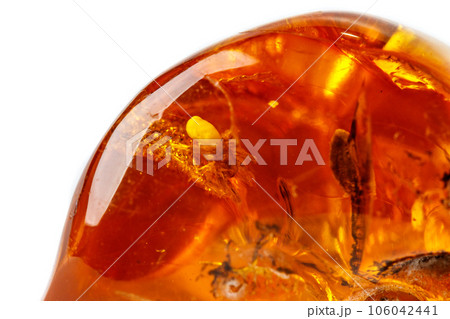 Macro Amber mineral stone with spider on white background 106042441