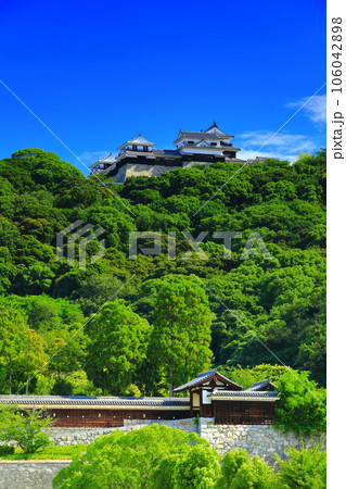 【愛媛県】城山公園から見た松山城（二之丸史跡庭園と天守閣） 106042898