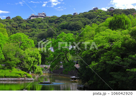 【愛媛県】晴天の松山城と外堀 106042920