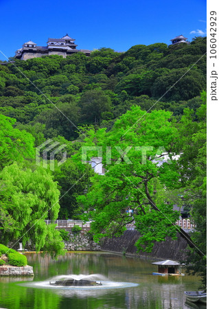 【愛媛県】晴天の松山城と外堀 106042929