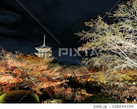 ライトアップされた紅葉 京都 東寺 ライトアップされた紅葉 京都 東寺 106044160