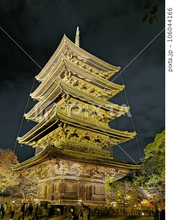 ライトアップされた紅葉 京都 東寺 ライトアップされた紅葉 京都 東寺 106044166