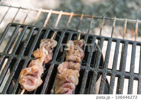 【オートキャンプ場でソロキャンプ　熾火で焼き鳥カルビを焼く】 106046272