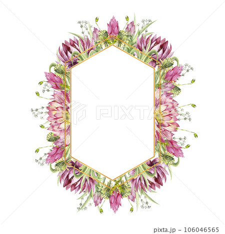 A polygonal frame with flowers of water lilies and wild forest grasses. Watercolor illustration on a white background A polygonal frame with flowers of water lilies and wild forest grasses. Watercolor illustration on a white background 106046565