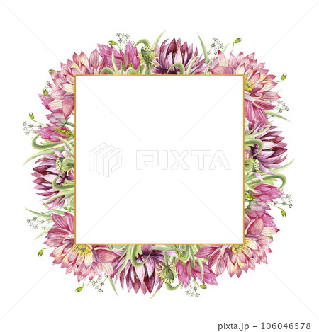 A frame with flowers of water lilies and wild forest grasses. Watercolor illustration on a white background A frame with flowers of water lilies and wild forest grasses. Watercolor illustration on a white background 106046578
