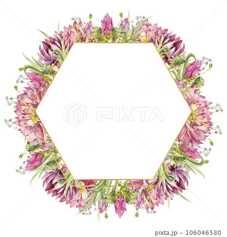 A frame with flowers of water lilies and wild forest grasses. Watercolor illustration on a white background A frame with flowers of water lilies and wild forest grasses. Watercolor illustration on a white background 106046580