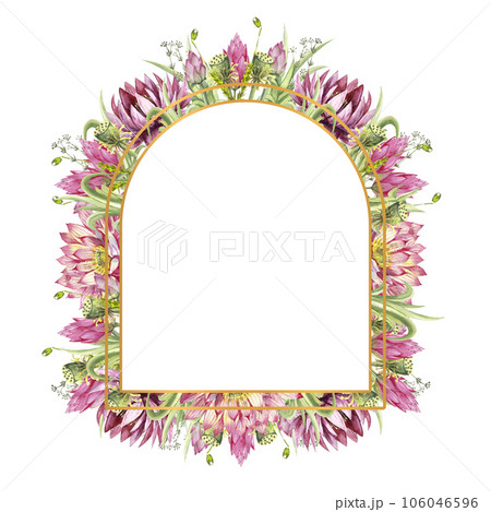 A frame with flowers of water lilies and wild forest grasses. Watercolor illustration on a white background A frame with flowers of water lilies and wild forest grasses. Watercolor illustration on a white background 106046596