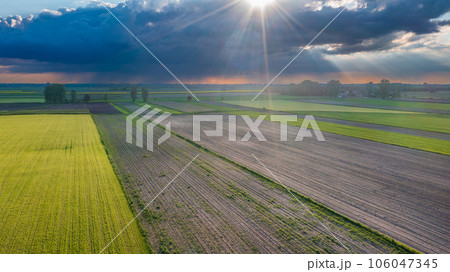 Meadow with trees landscape from aerial in sunset light Meadow with trees landscape from aerial in sunset light 106047345