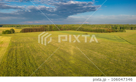 Meadow with trees landscape from aerial in sunset light Meadow with trees landscape from aerial in sunset light 106047346