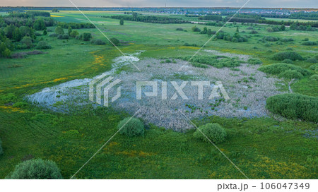Drone point of view of springtime flooding meadow Drone point of view of springtime flooding meadow 106047349