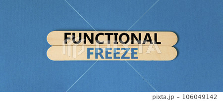 Functional freeze symbol. Concept words Functional freeze on beautiful wooden stick. Beautiful blue table blue background. Business psychology functional freeze concept. Copy space. 106049142
