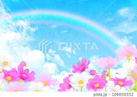 コスモス畑にかかる虹 106050352