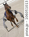 Harness racing 106051013