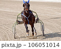Harness racing 106051014
